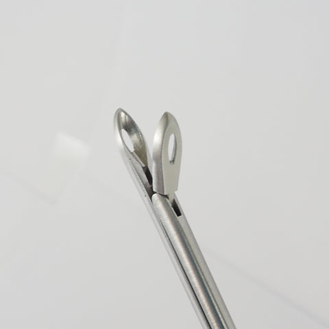 Close up of the tips of the Weil-Blakesly Forceps Straight tips. Made for BEAR-ENT item # 7.06.28