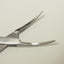 Close up of the tips of a Halstead Mosquito Forceps that is curved. 12.5cm in length